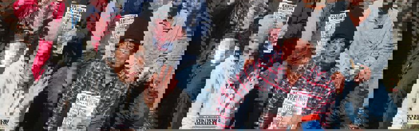 Interim vrijwilliger: Social Media 