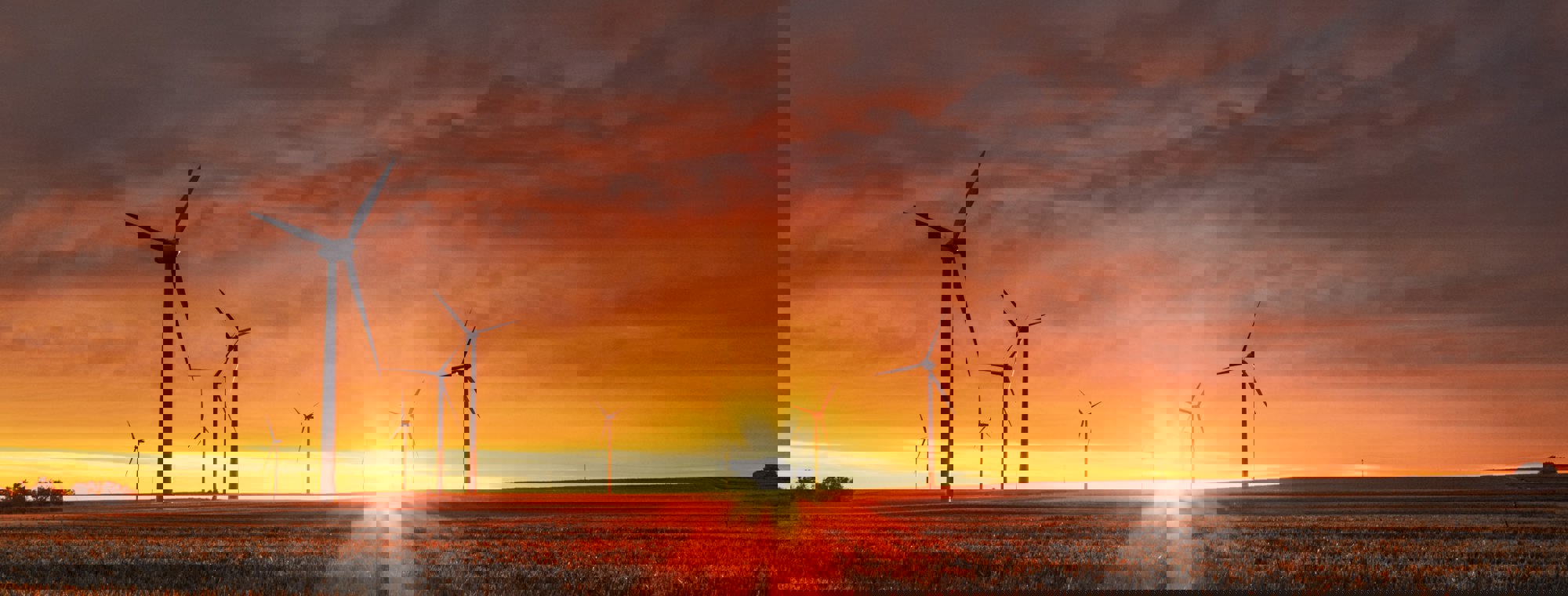 Karsten Wurth Karsten Wuerth 0W Uta0xz7w Unsplash