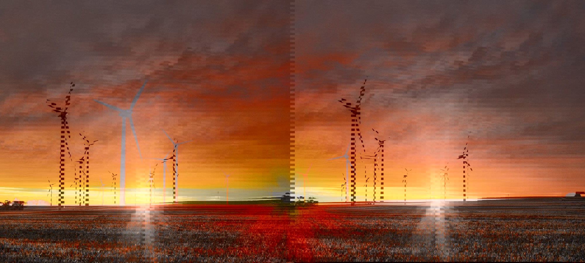 Karsten Wurth Karsten Wuerth 0W Uta0xz7w Unsplash