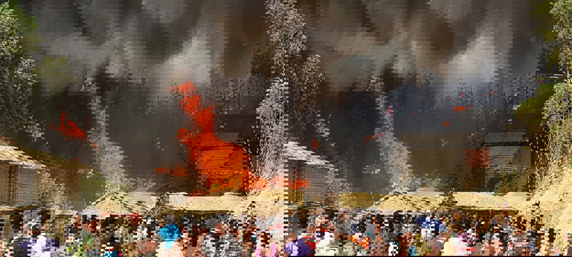 163175877 4444346985581785 634200710077691754 N