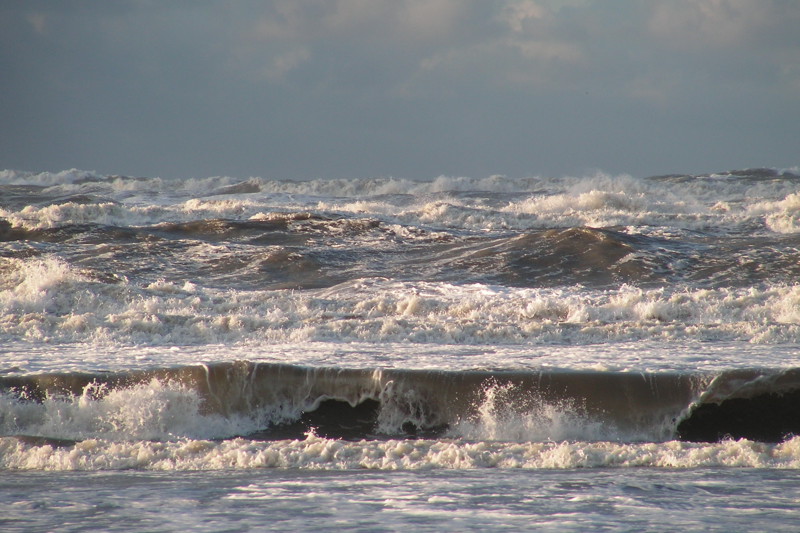 Stichting De Noordzee