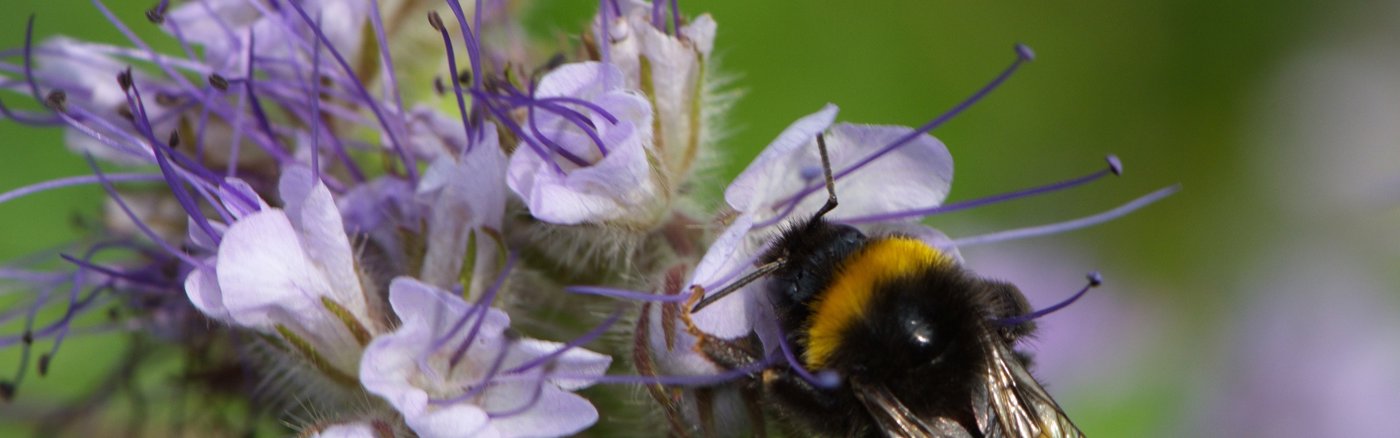 Strategisch advies over Marketing