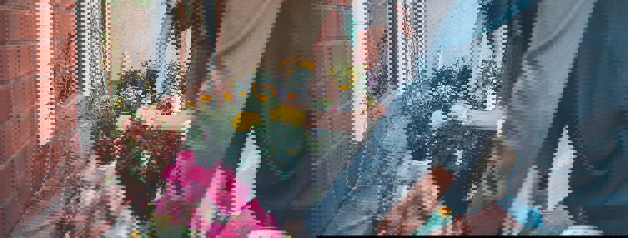8fd272f3-2658-4389-8dc9-56faf3884ff5