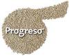 Progreso Foundation