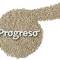 Progreso Foundation