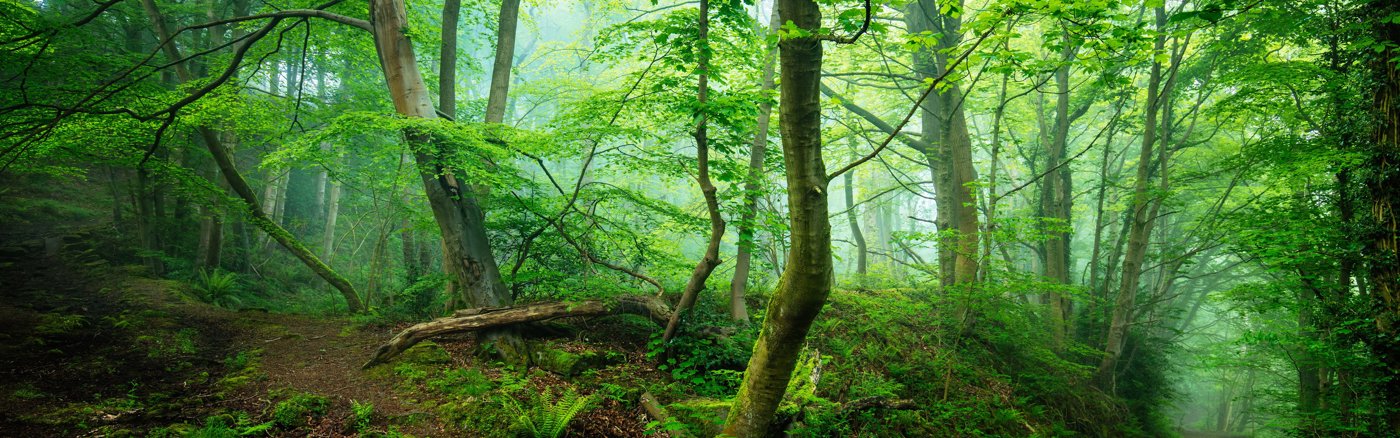 Flexibele Social Media ondersteuning