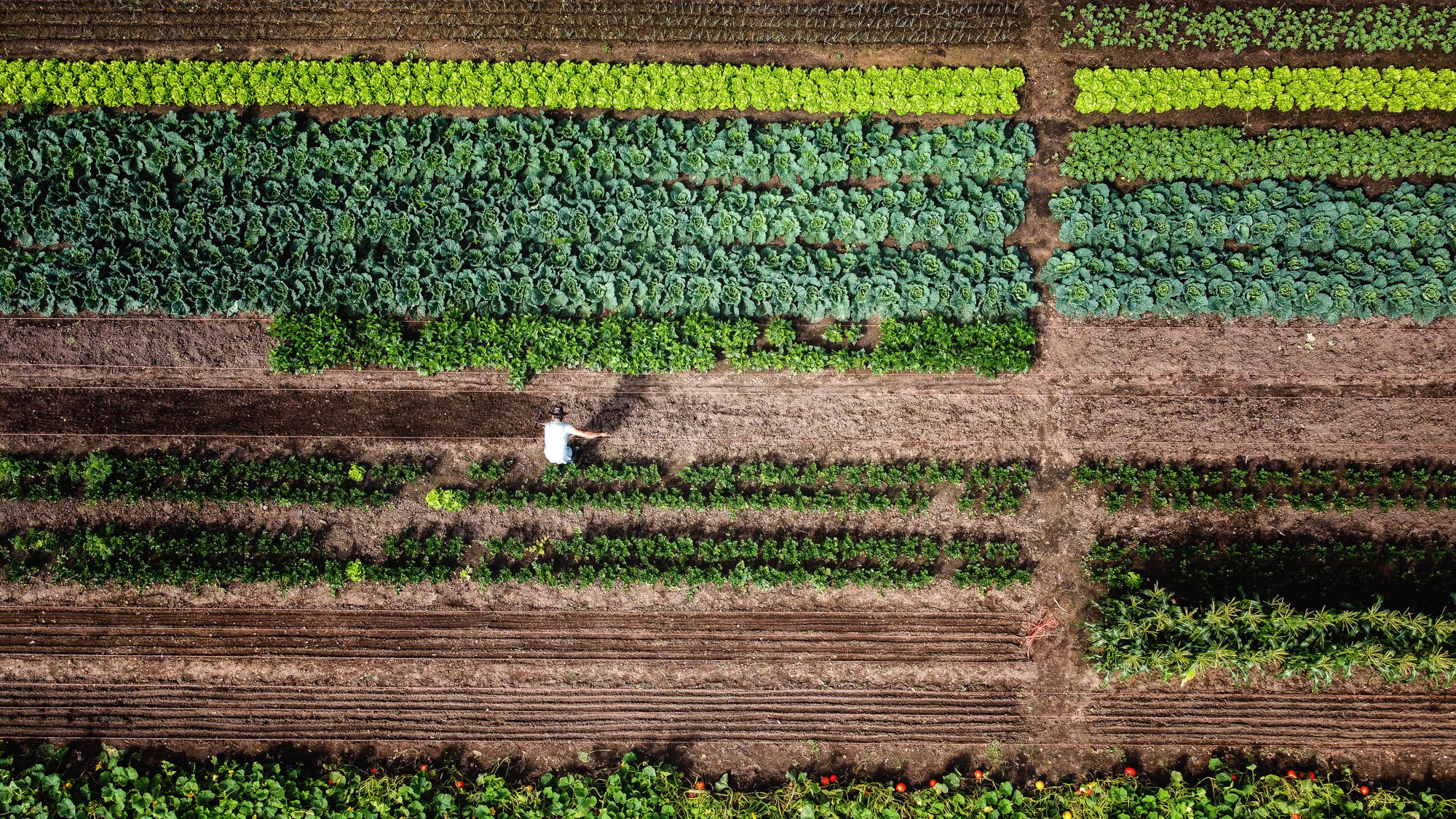 Zorgboerderij Slangenburg
