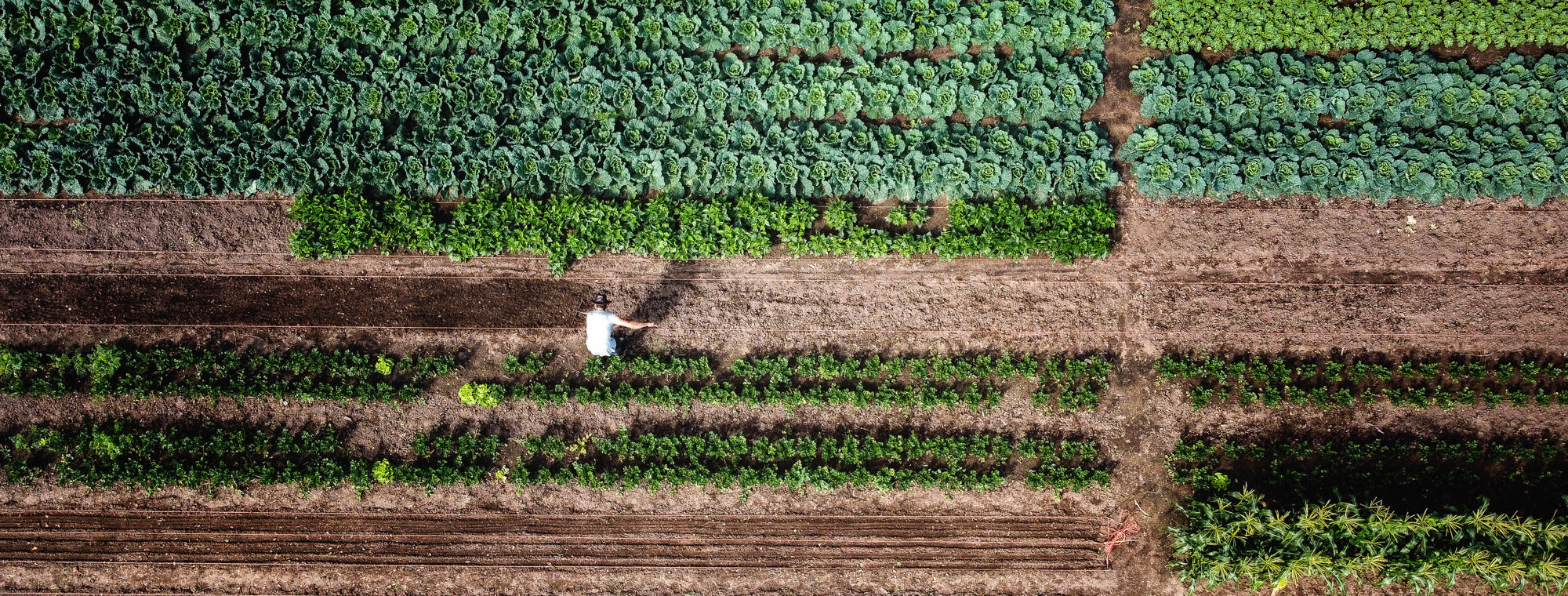 Zorgboerderij Slangenburg-photo