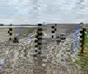 Trabotyx