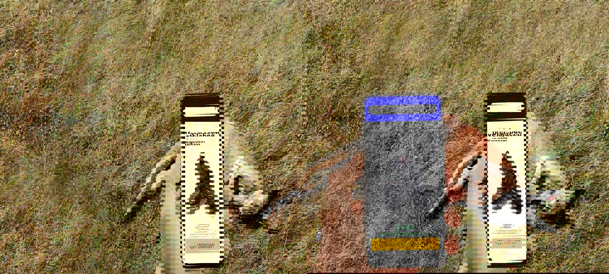5cfa0ec2-0923-40cc-9ed4-a3b15937028b