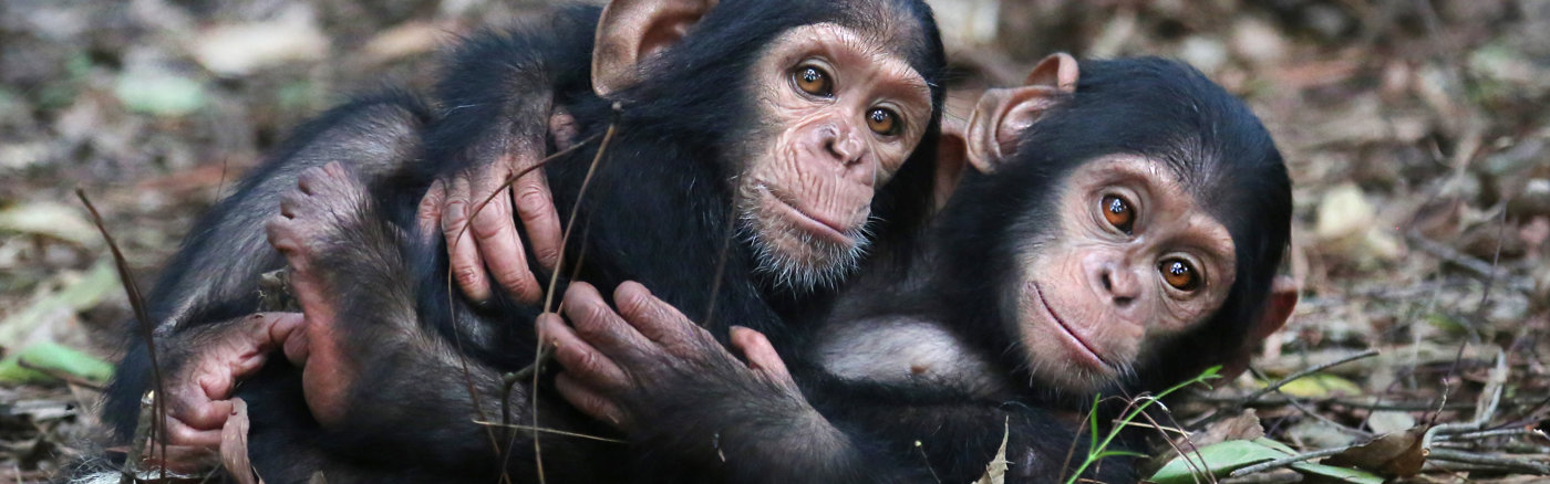 E-mailcampagne voor leadwerving