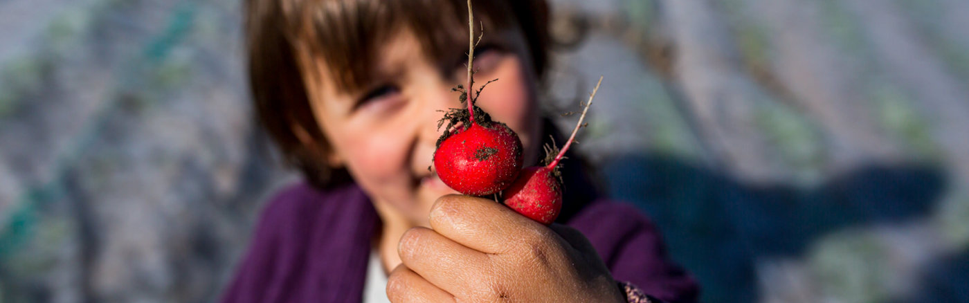 Strategisch advies over Communicatie 