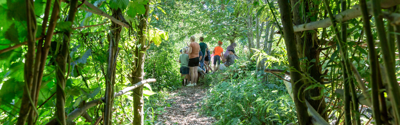  Foto archief optimalisatie