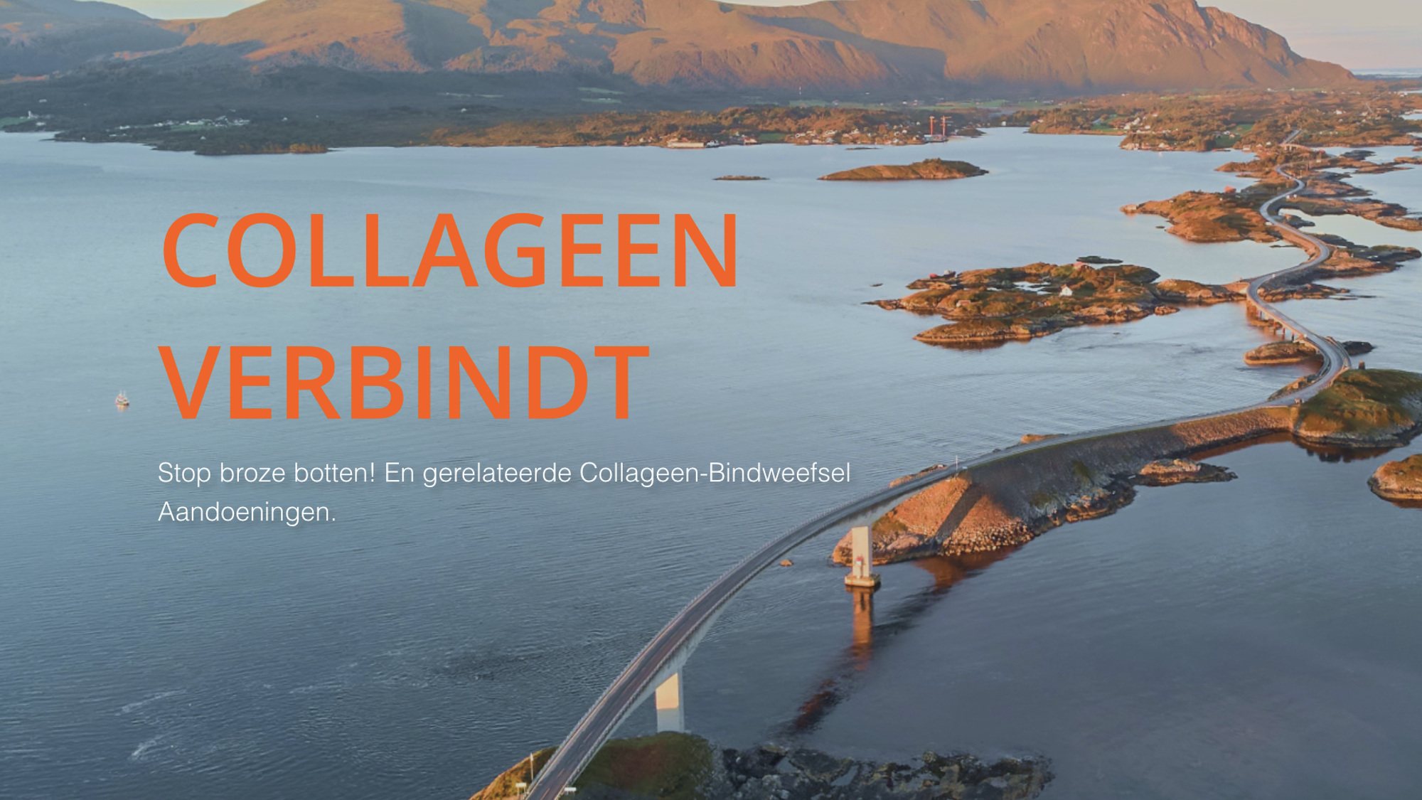 Stichting Power Of Reflection