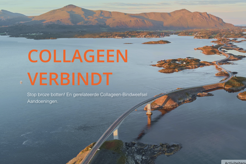 Stichting Power Of Reflection