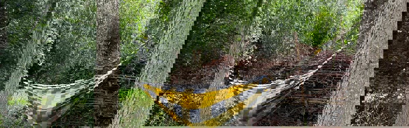 1 Impactmeting voor jongvolwassenen