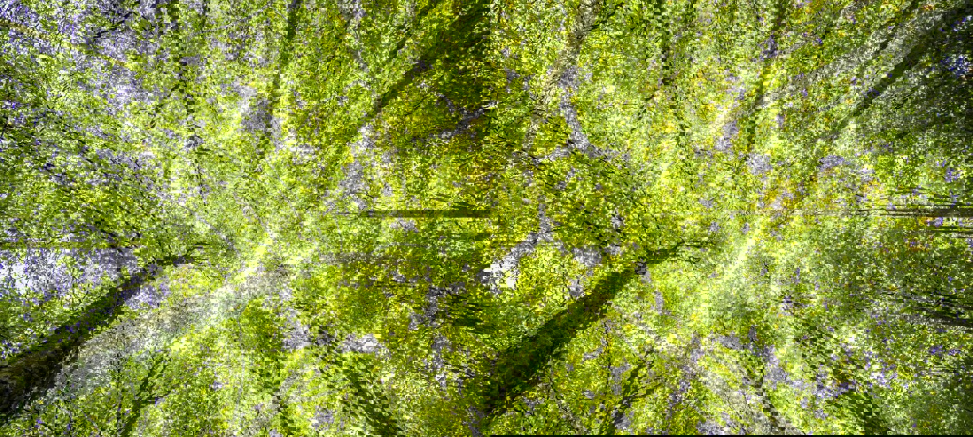 d5888a32-b3b5-41a7-82e6-7c1c7be6770c