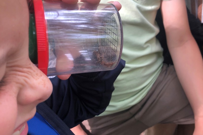 Stichting milieu dichterbij