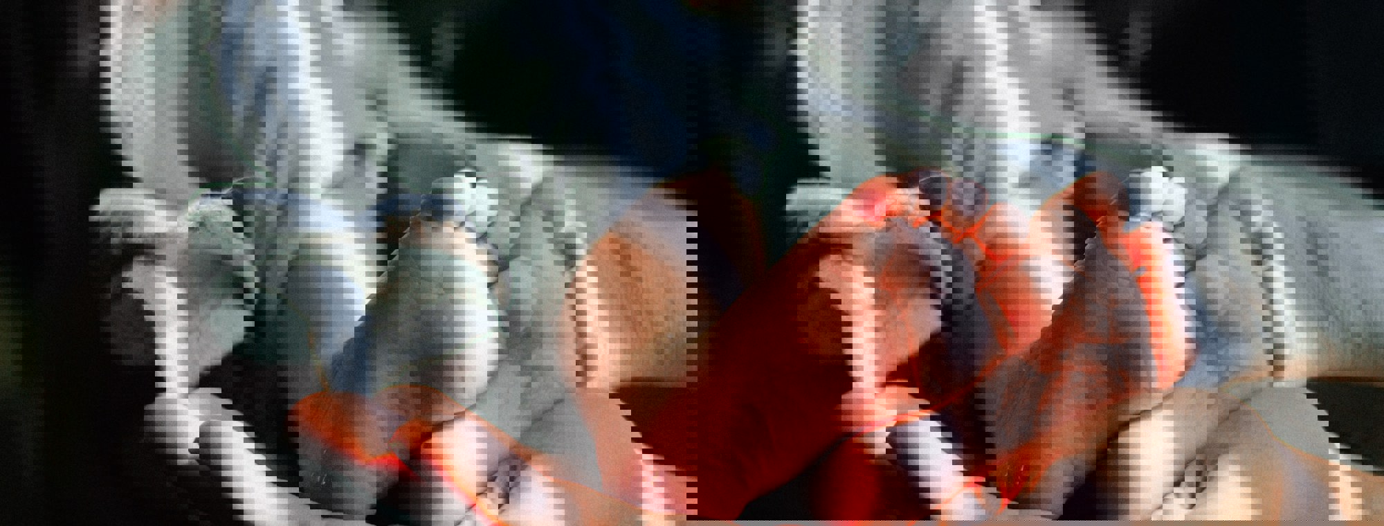 7a7d5abc-7959-46e2-b8d6-bc544e7f9886