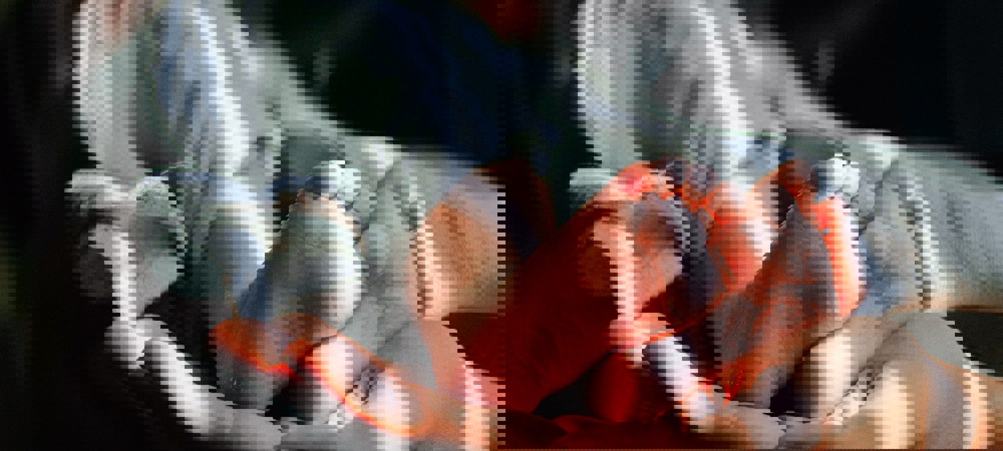 7a7d5abc-7959-46e2-b8d6-bc544e7f9886