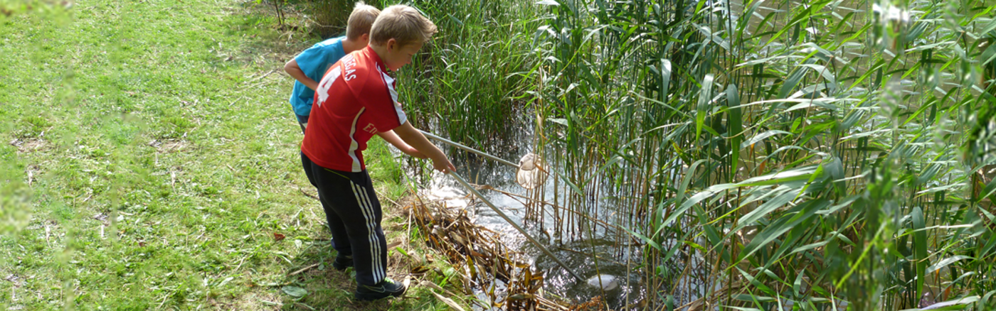 Business case ondersteuning