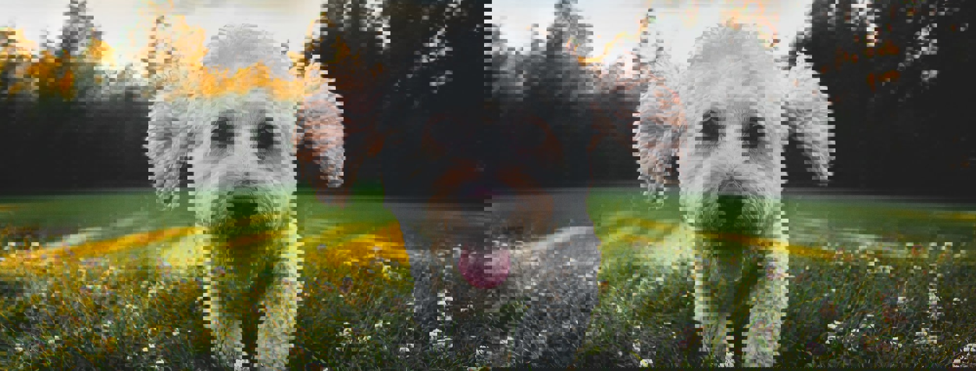 Joe Caione Kveogbzzl4m Unsplash