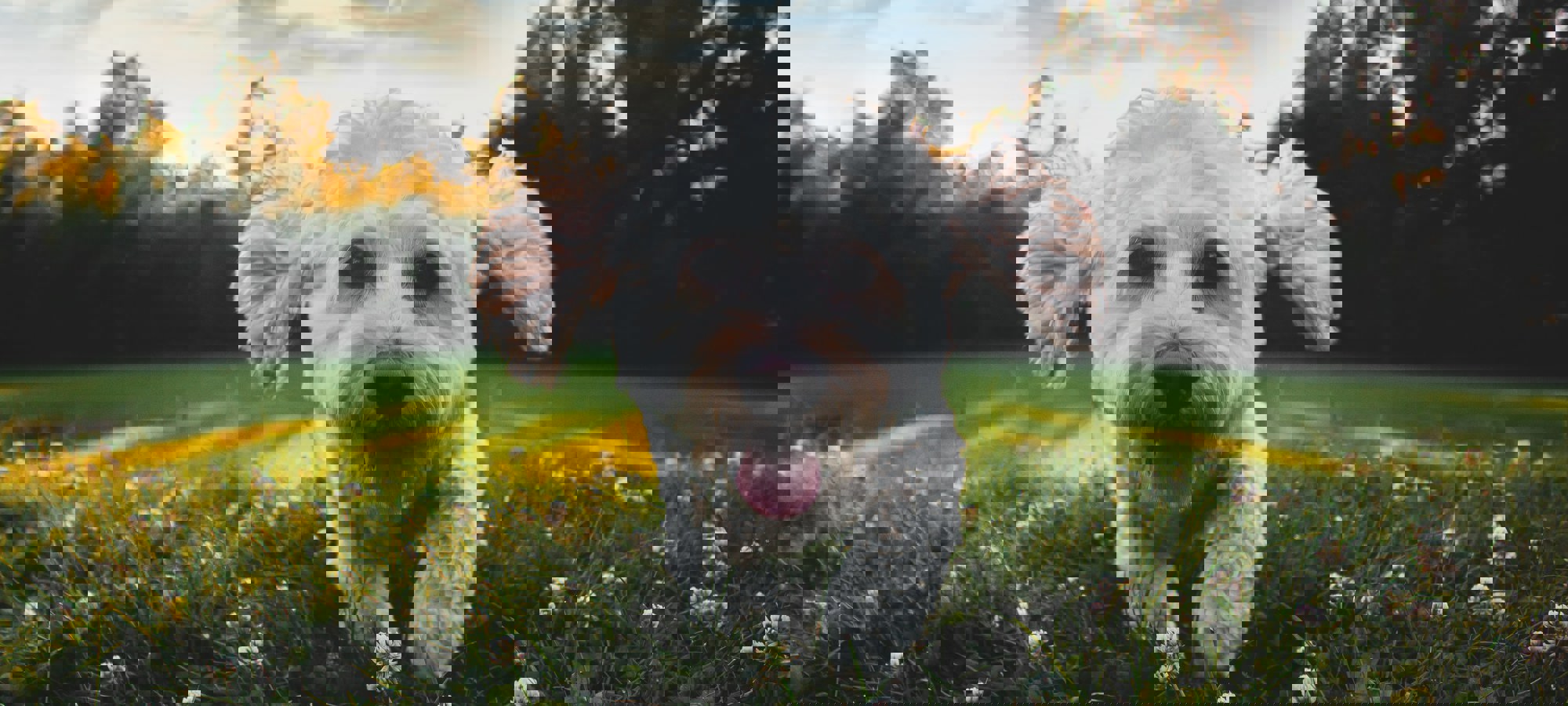 Joe Caione Kveogbzzl4m Unsplash