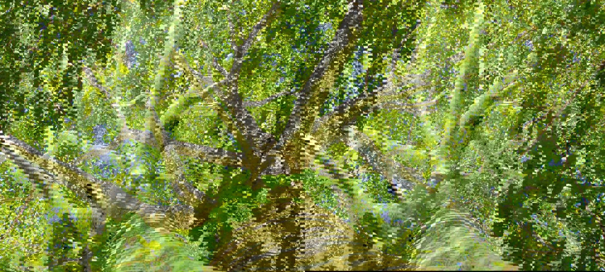 8d97722f-72a5-49d6-b2c3-1f34a86fe1fc