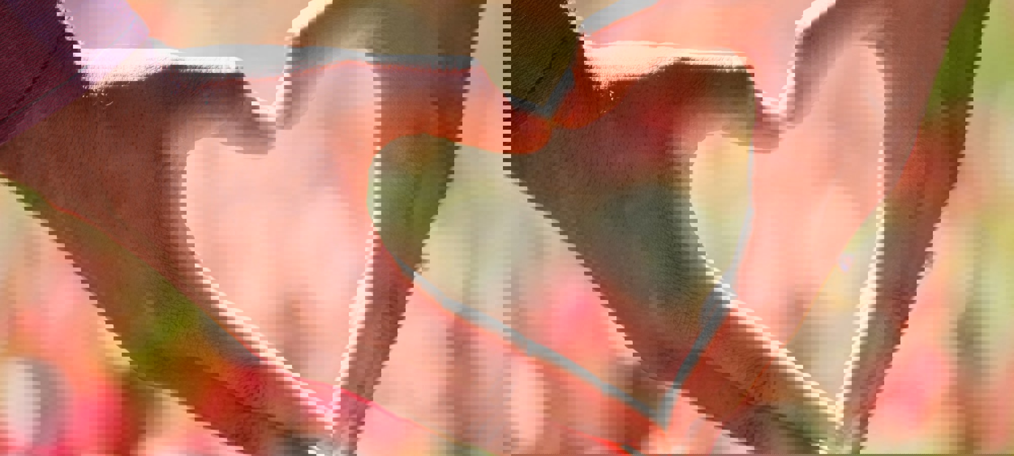 571bba67-6cf0-4e0e-bcc8-c49aef5d2650