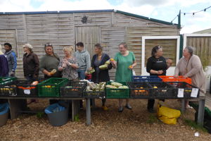 Juridisch advies over huurcontract