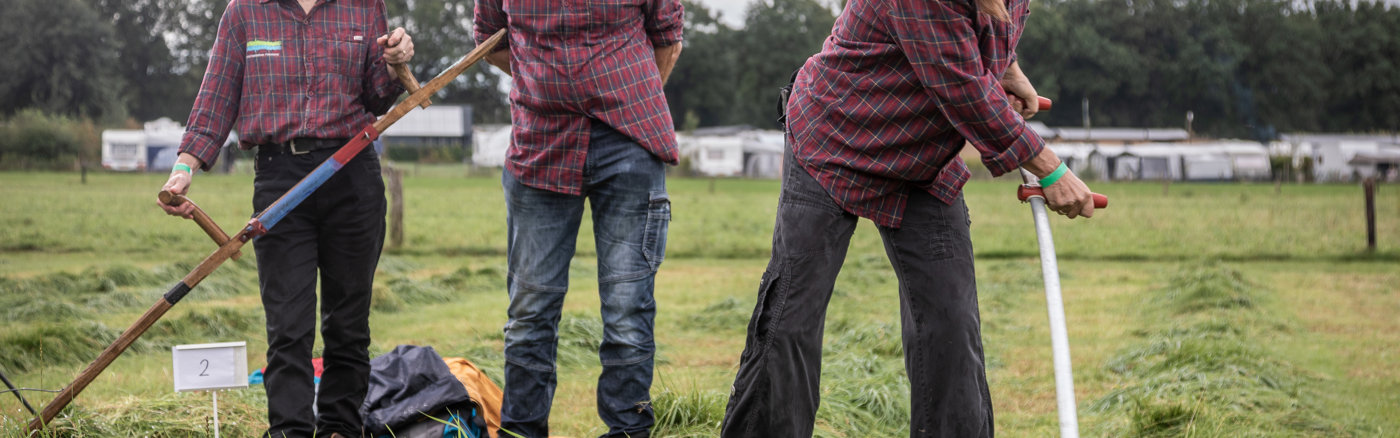 Website design & Wordpress Thema inrichten