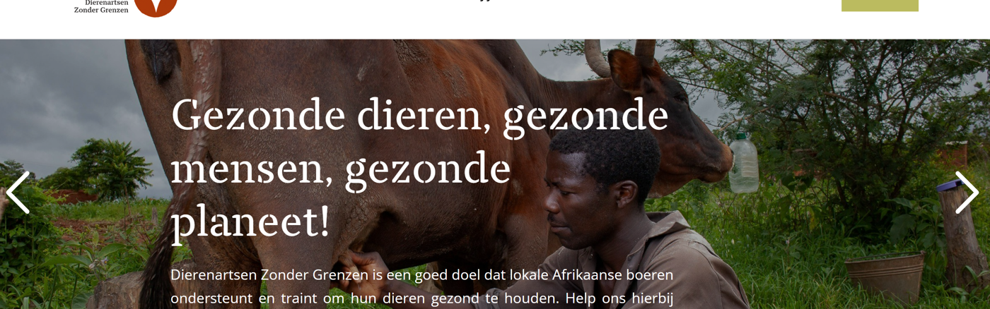 SEO Optimalisatie voor 10 Webpagina's