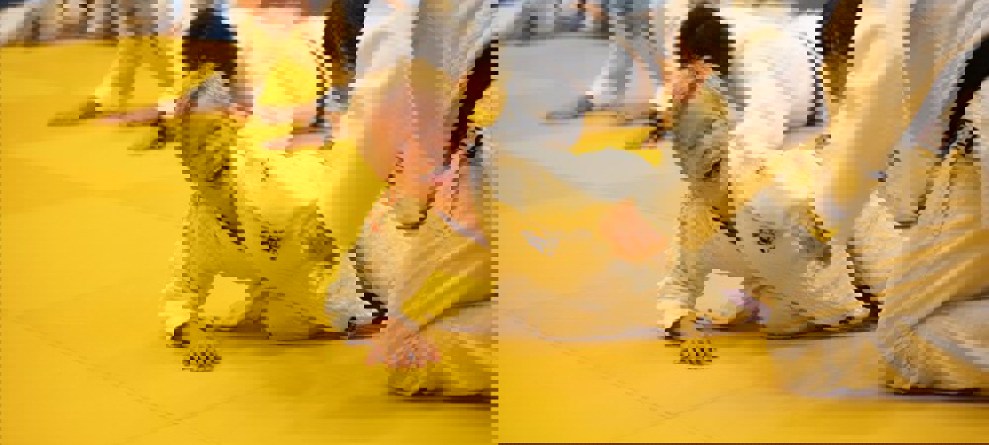 91dc033f-5f42-42bf-98a9-614a7b48d1cf