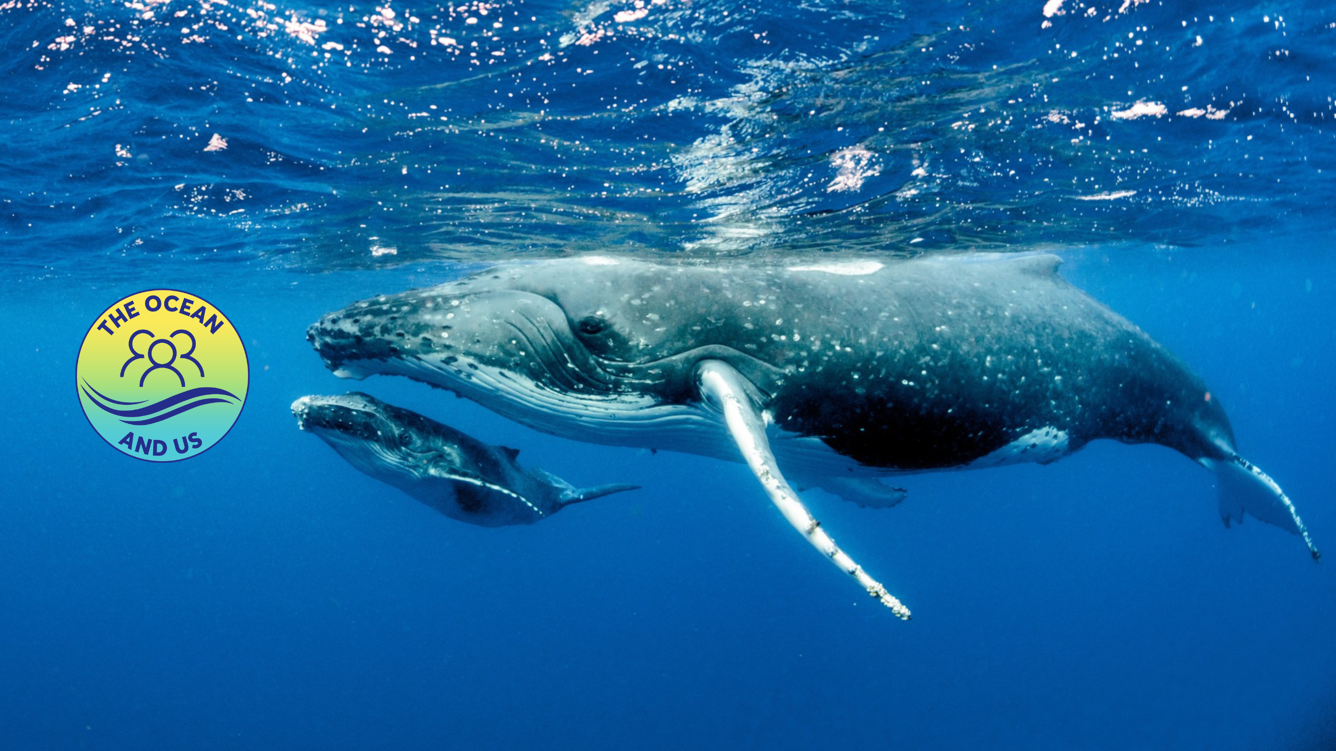 Financieel Jaaroverzicht Voorbereiden