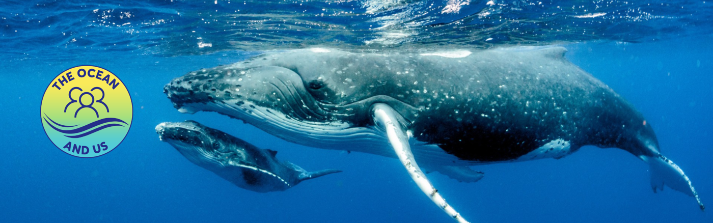 Financieel Jaaroverzicht Voorbereiden