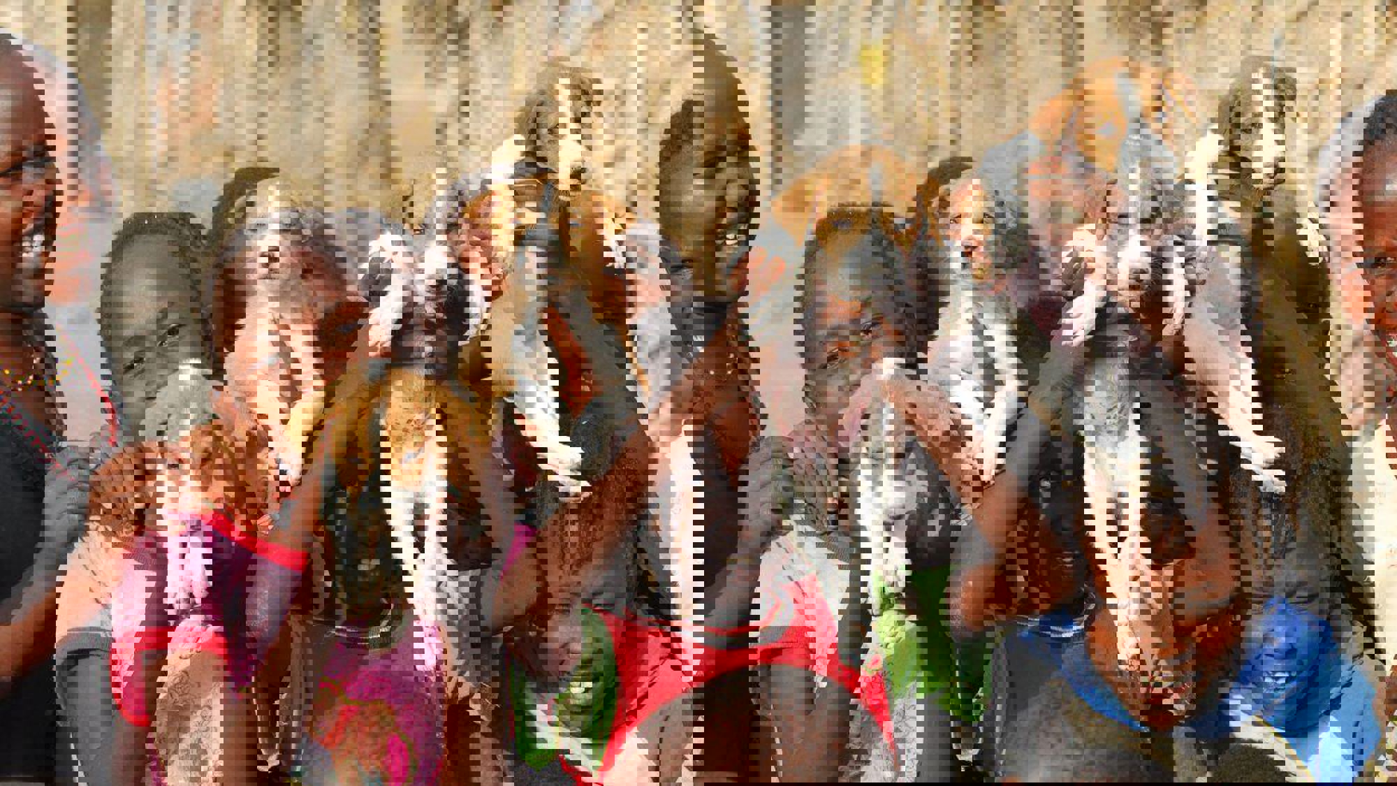 Dierenartsen Zonder Grenzen Nederland