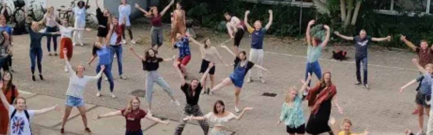 Content advies website