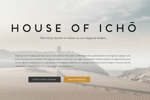 Rapportage gebruikersgedrag website