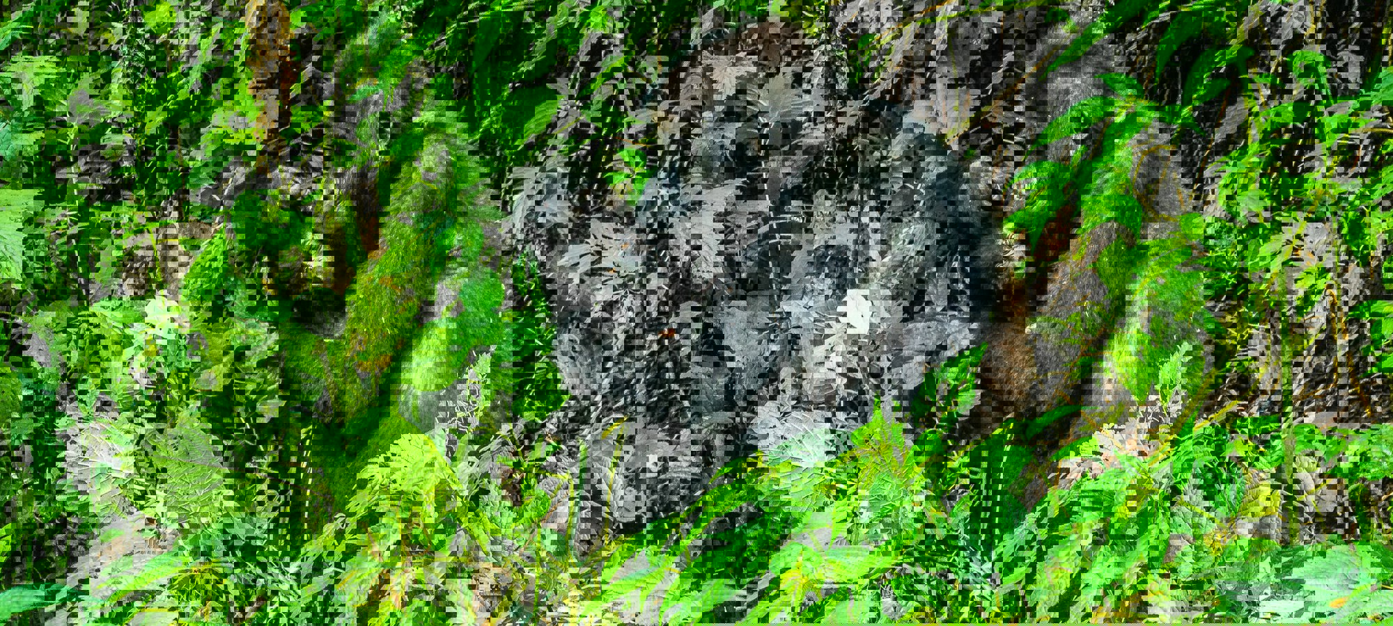 16f9f33e-40a3-4582-b7f0-ee587f965075