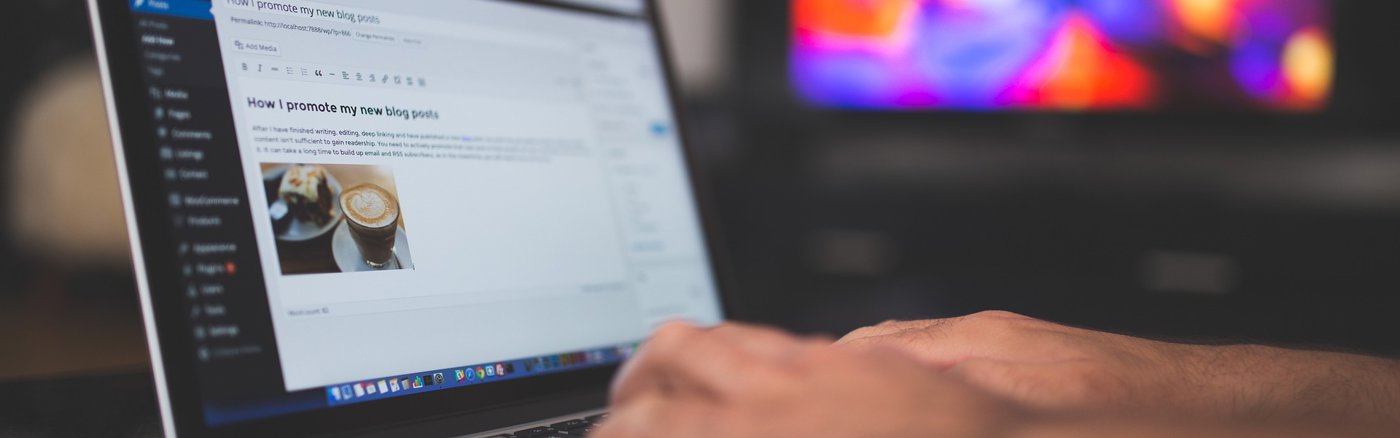 Website design & Wordpress Thema inrichten