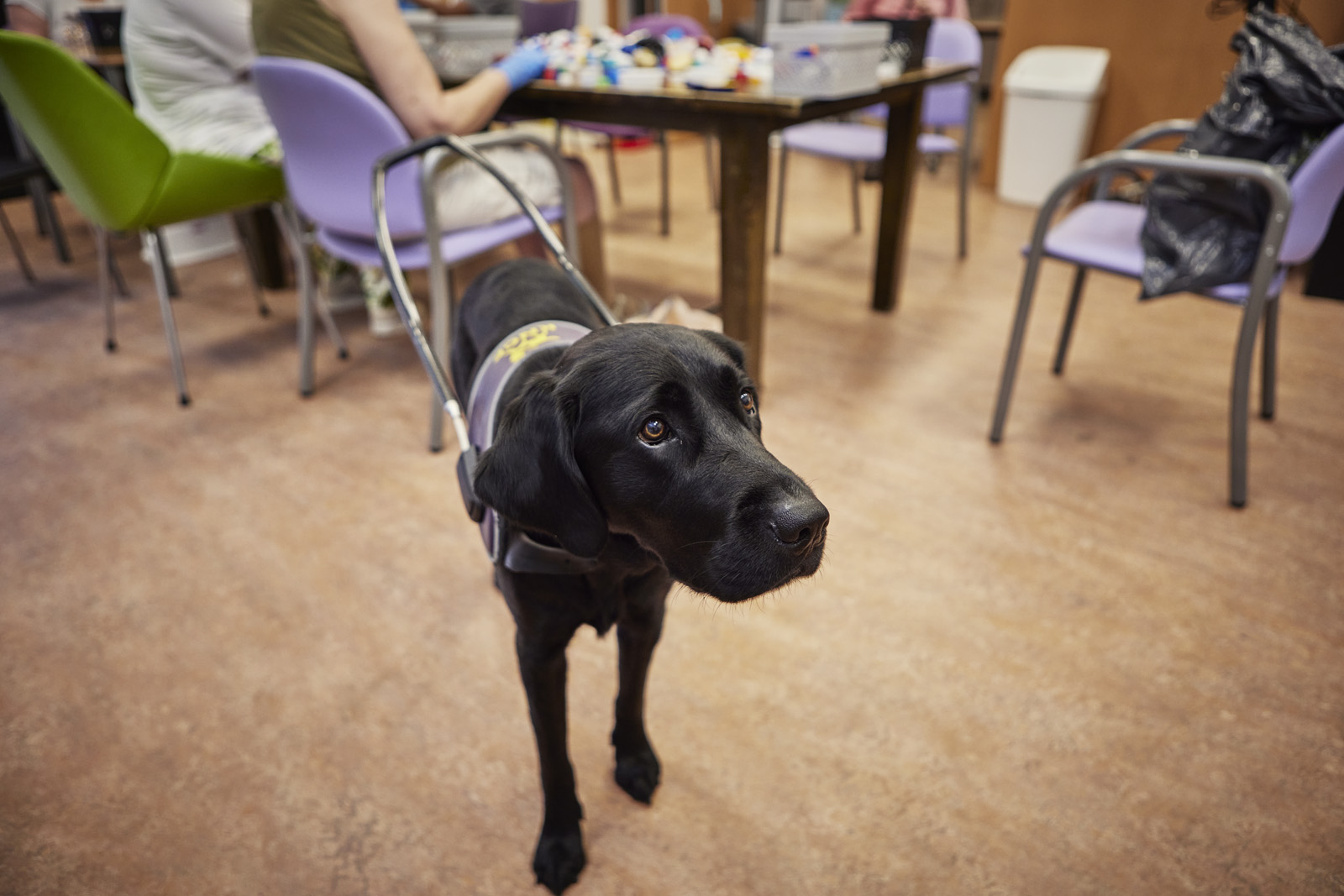 Brochure Ontwerp Over AI-beleid voor gehandicaptenzorg