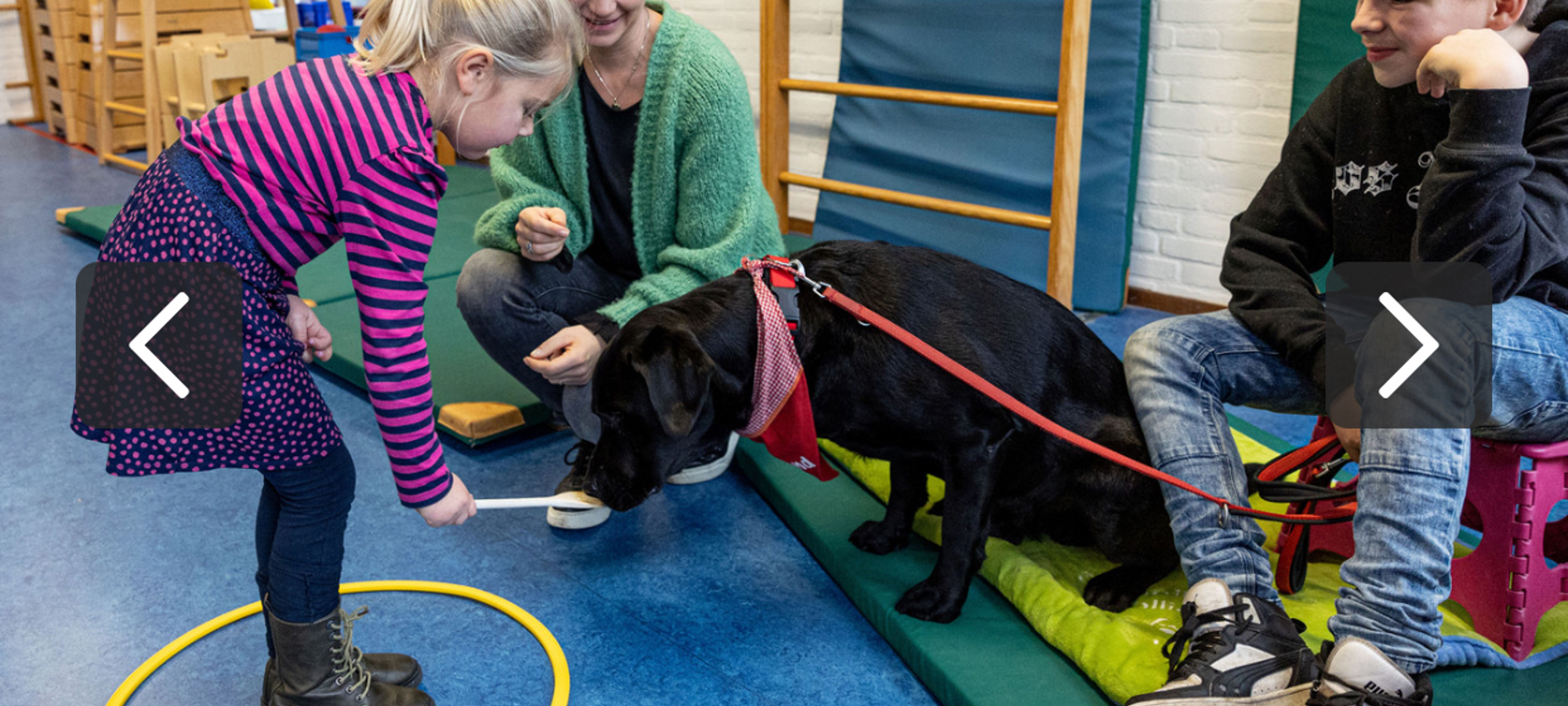 Stichting AAI-maatje-actionPhoto (2)