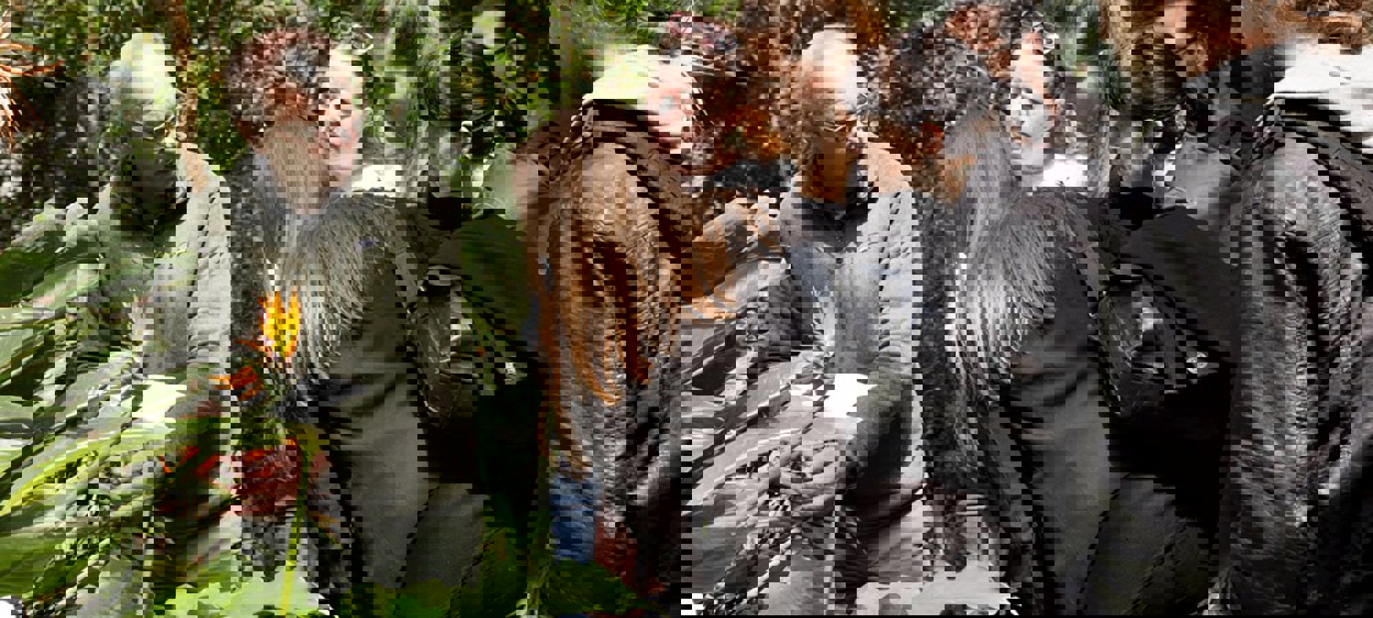 66875437-1637-4b4c-8a32-5ae6b461e210