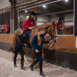 Veilig en gezellig paardrijden