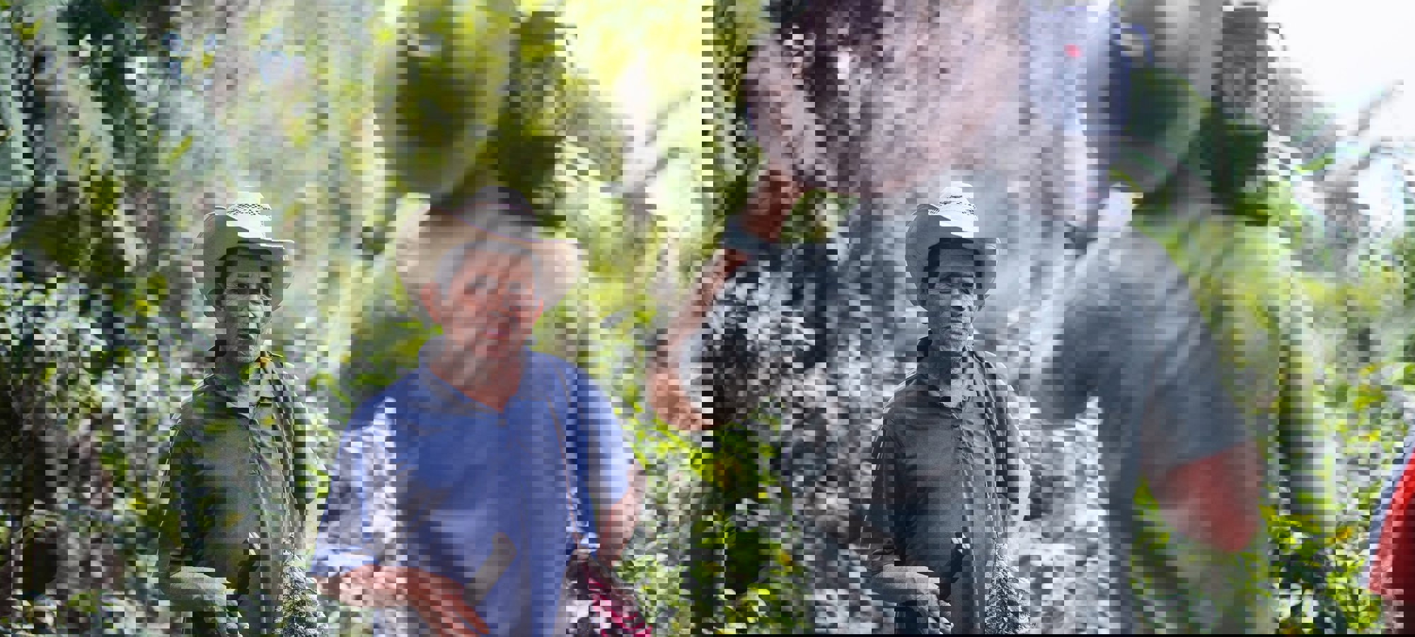 07545b18-eff1-4a0e-aa7e-87c4a64c5719