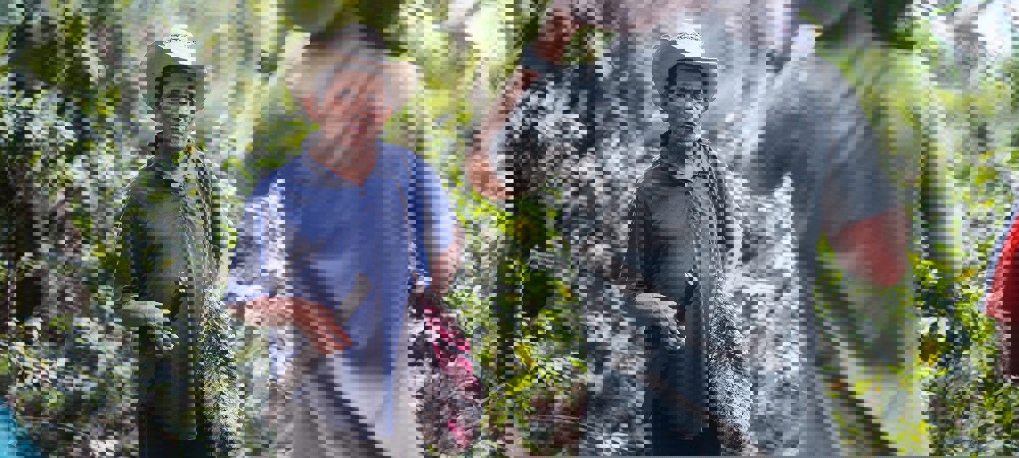 07545b18-eff1-4a0e-aa7e-87c4a64c5719