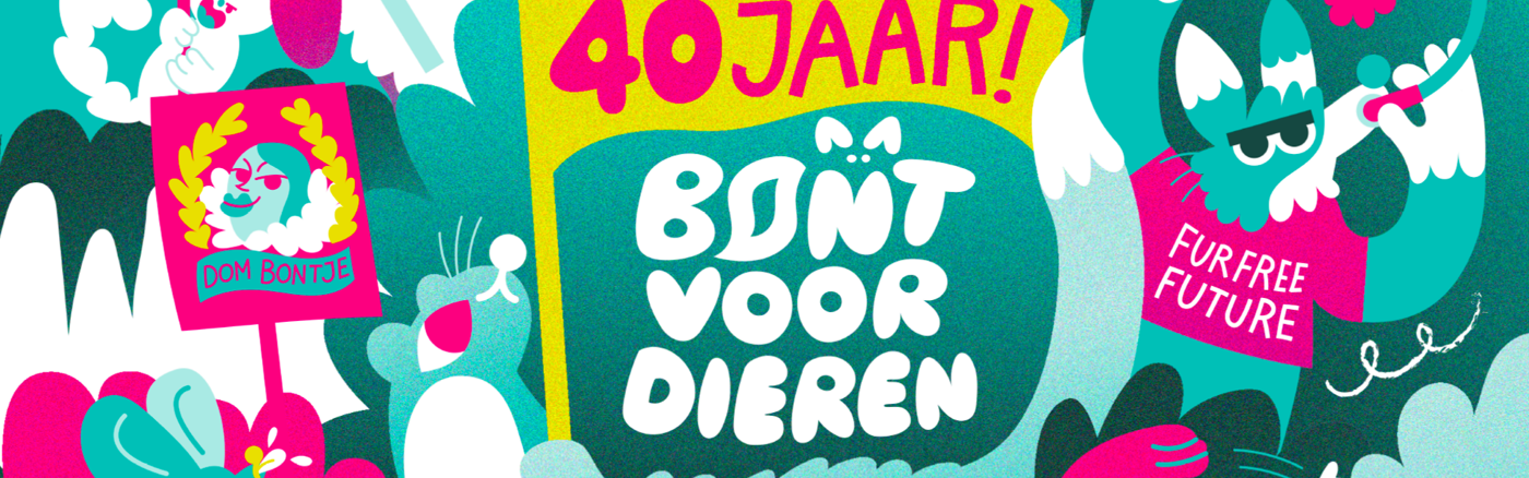 Videograaf voor 40-jarig jubileumfeest op 2 juni