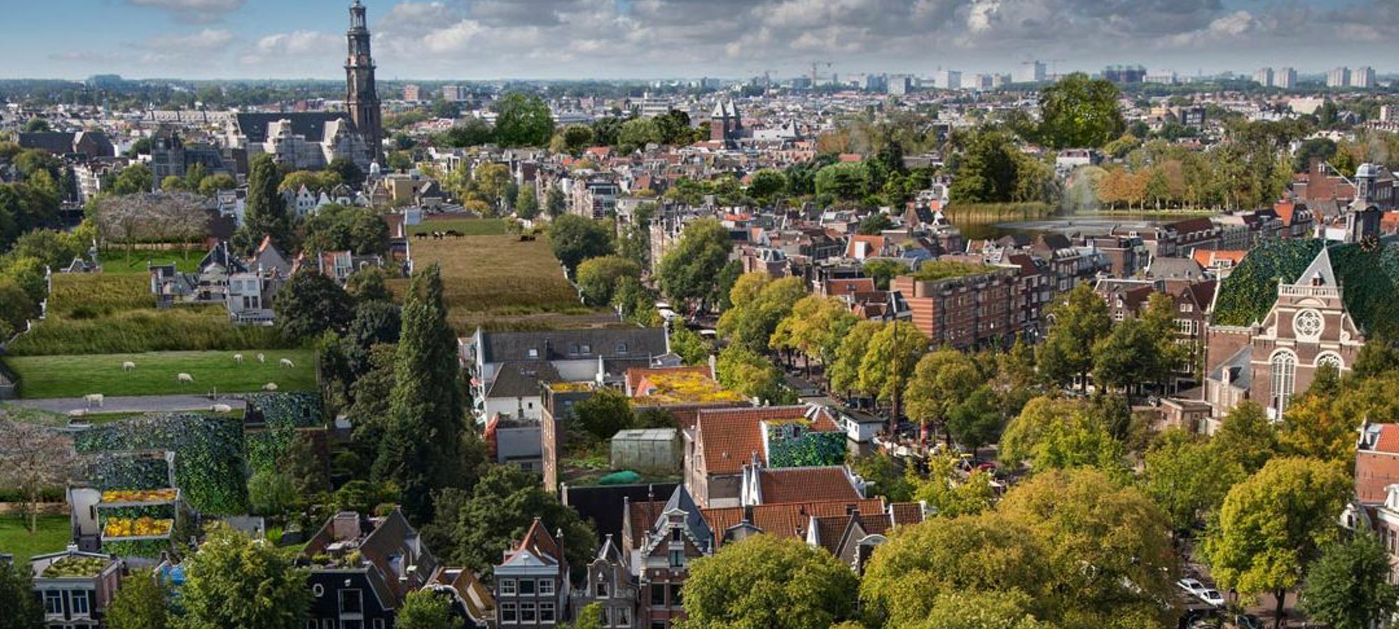 7-jaar-rooftop-revolution-groene-steden.jpg