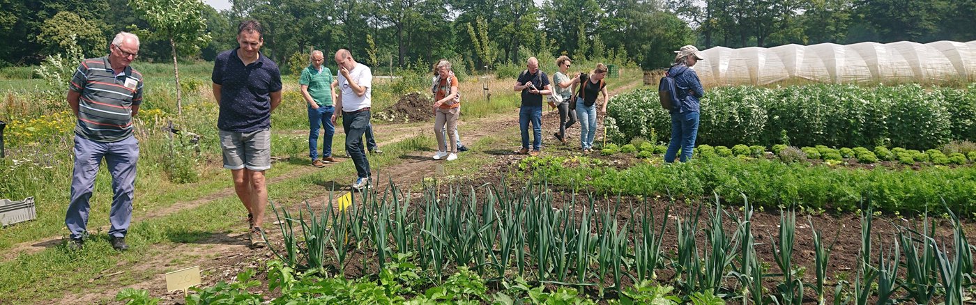 Strategisch advies over marketing