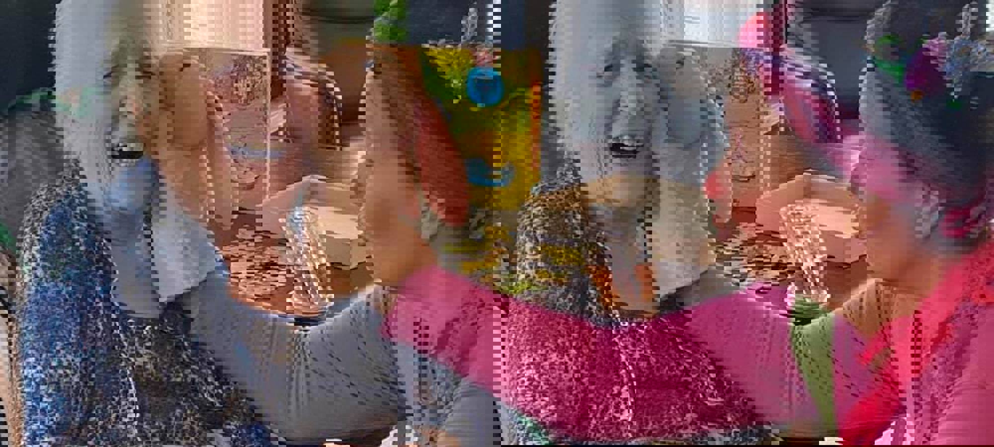 244688905 2253819101425158 3105969585939799305 N